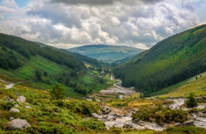 Wicklow Mountain