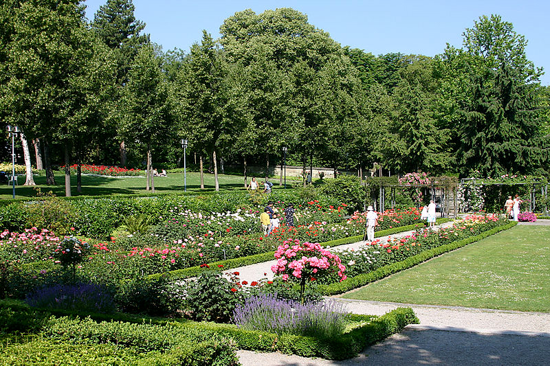 Bern's Rose Garden in Switzerland