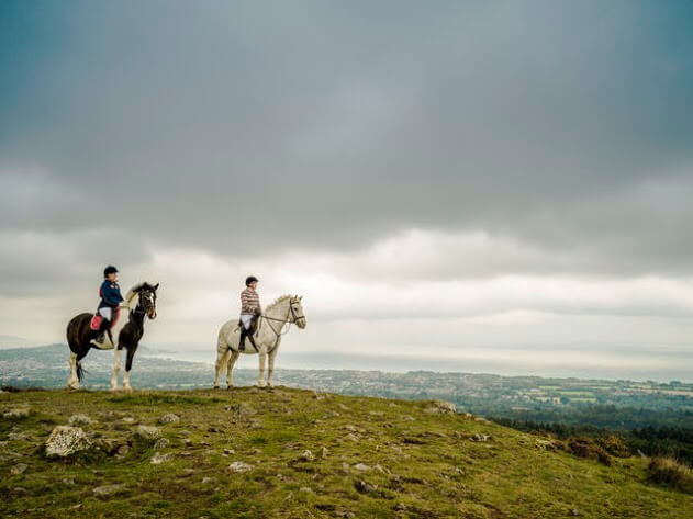 Horses on top of Carrickgollogan overlooking Dublin, Ireland